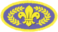 [Chief Scout's Gold Award]